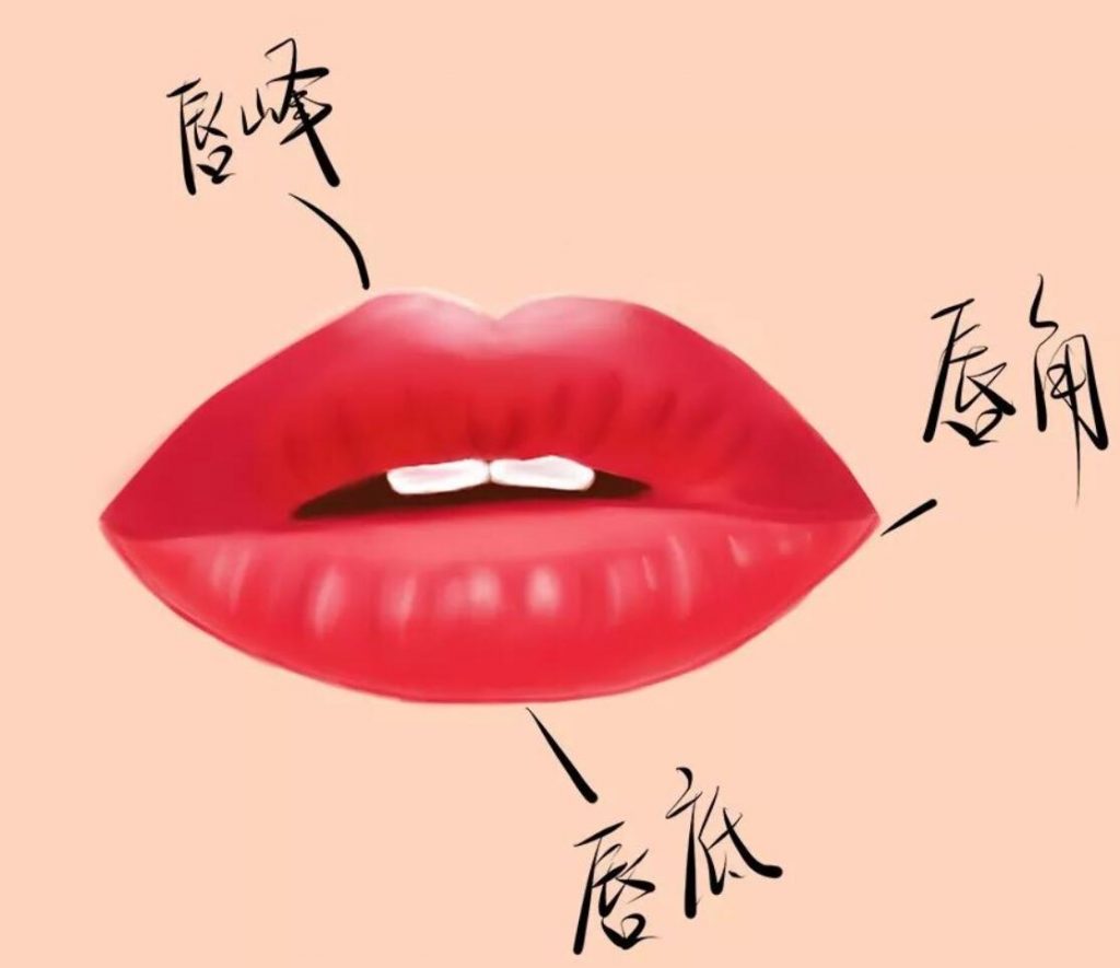 买了那么多口红不会画？教你不同唇形的最美口红画法！